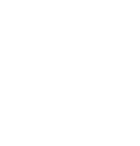 rakaiahotel.com
